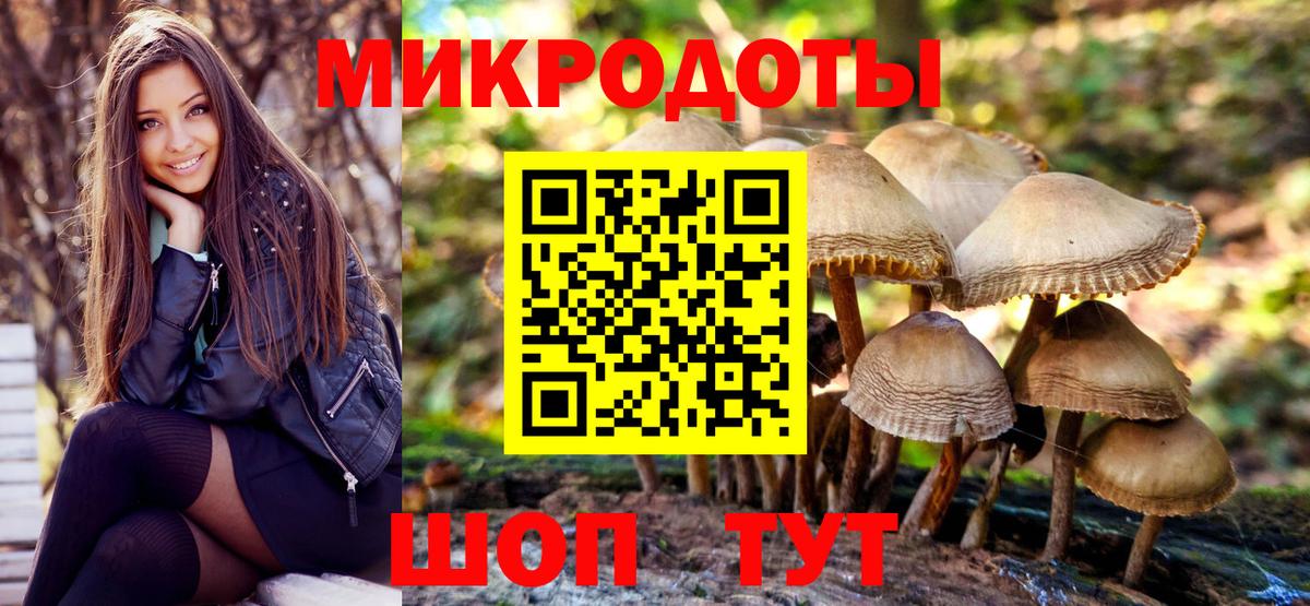 Псилоцибиновые грибы Psilocybine cubensis Волоколамск