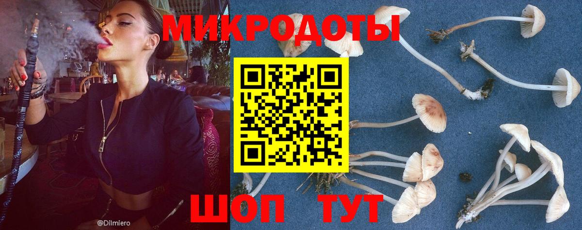Псилоцибиновые грибы Magic Shrooms  закладки  Волоколамск  Вход с VPN 